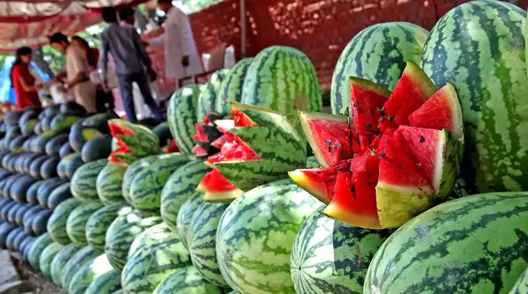 Rajahmundry:Watermelons are coming from Ravulapalem, Sitanagaram, Kadiyam and from the surrounding areas of the city.